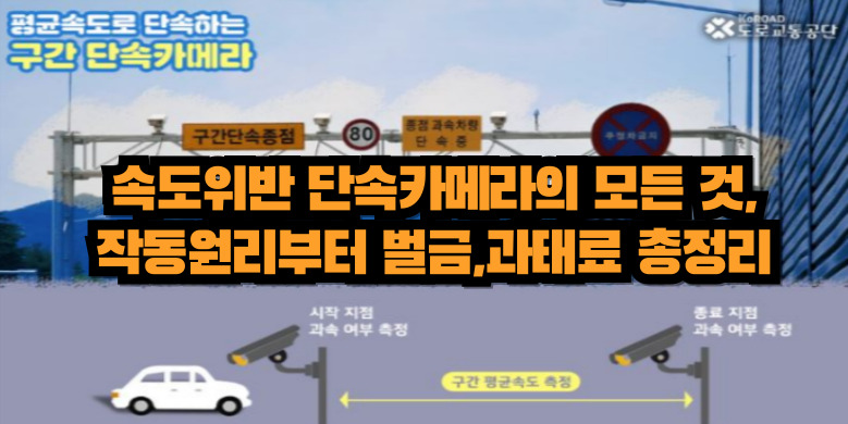 속도위반 벌칙금, 과태료 정리
