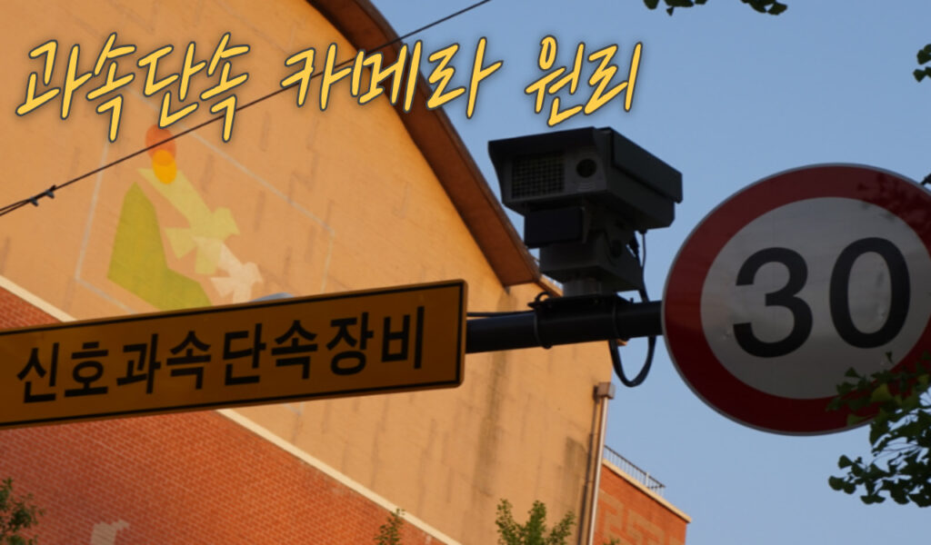 단속원리