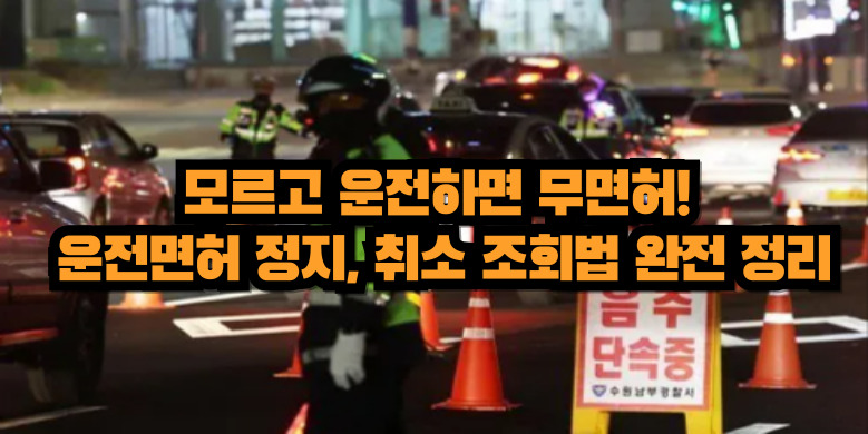 운전면허 결격사유 조회