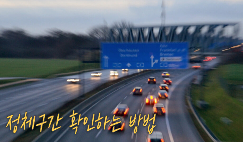 정체구간 확인