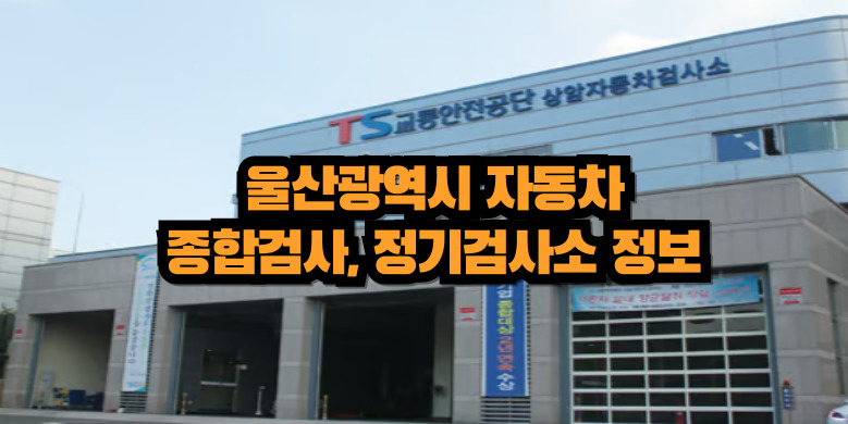 울산광역시 자동차 검사