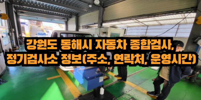 동해시 종합검사와 정기검사