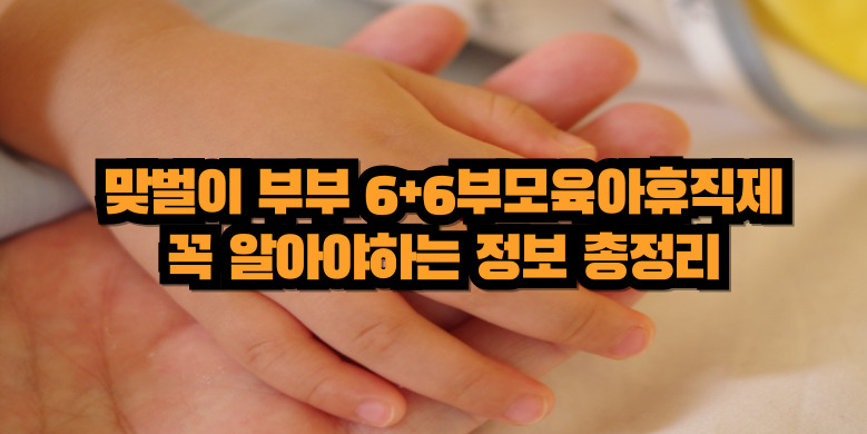 6+6 육아휴직제
