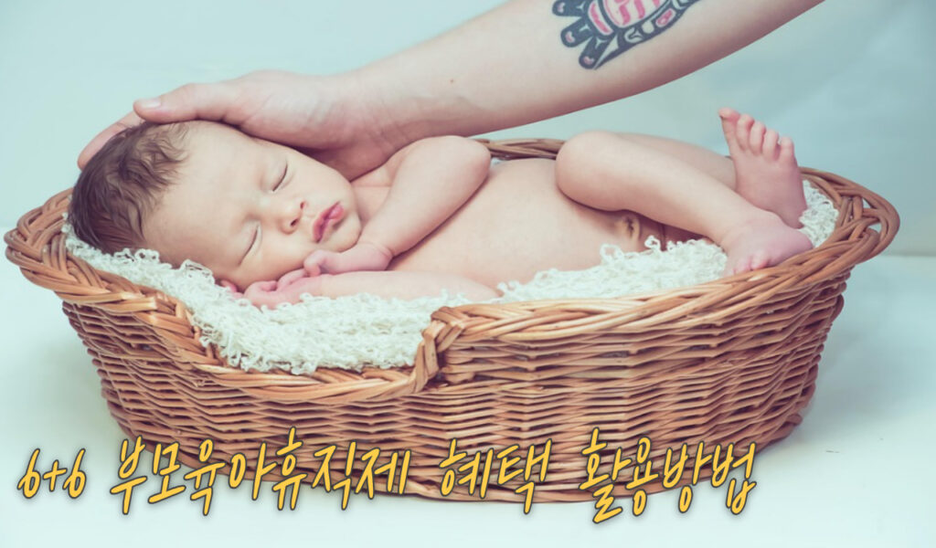 혜택 활용방법