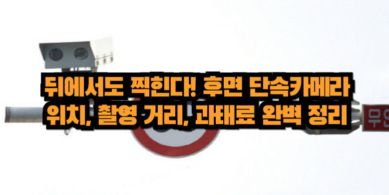 후면카메라 단속