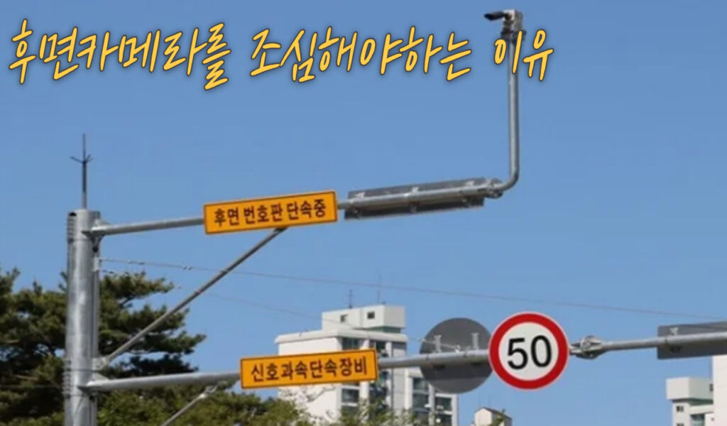 뒤에서도 찍힌다! 후면 단속카메라 위치, 촬영 거리, 과태료 완벽 정리 4 후면카메라 첫번째