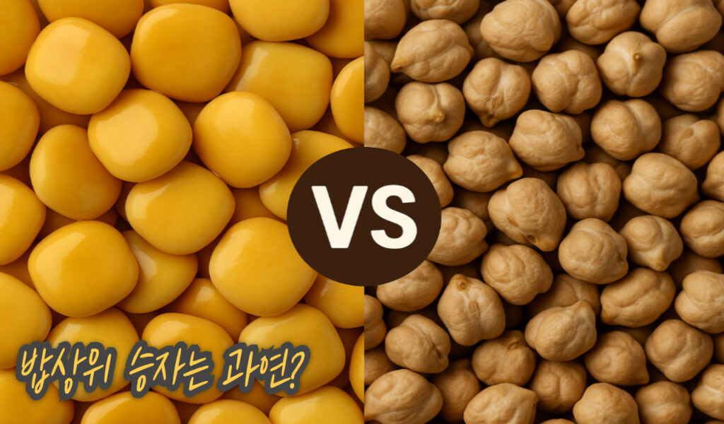 밥상위 승자