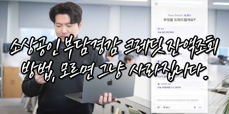 부담경감 크레딧 잔액조회