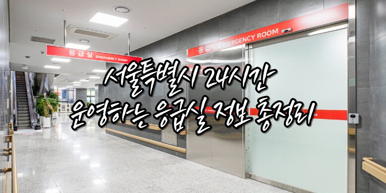 서울시 24시 응급실