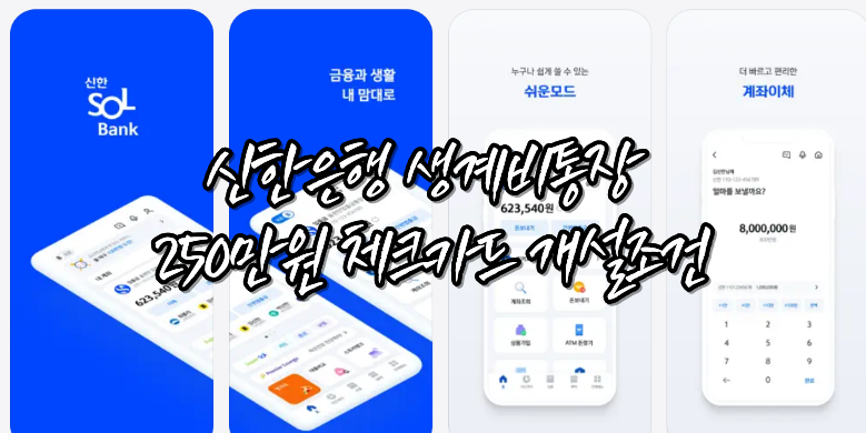 신한은행 생계비계좌 체크카드