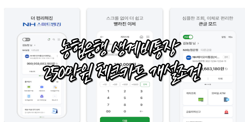 농협은행 생계비통장 체크카드