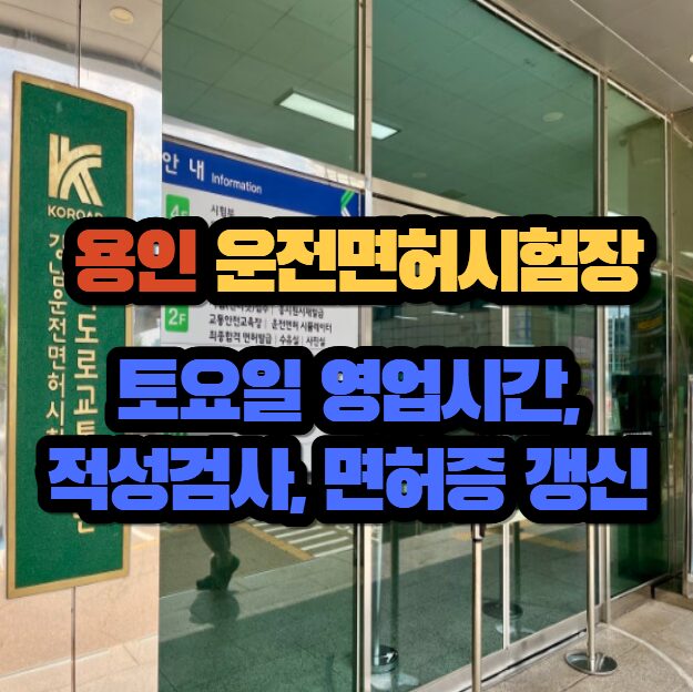 용인 운전면허시험장 토요일 영업시간, 적성검사, 면허증 갱신 업무 5 image 11